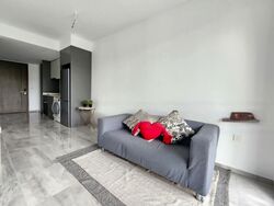 Affinity At Serangoon (D19), Apartment #568740911
